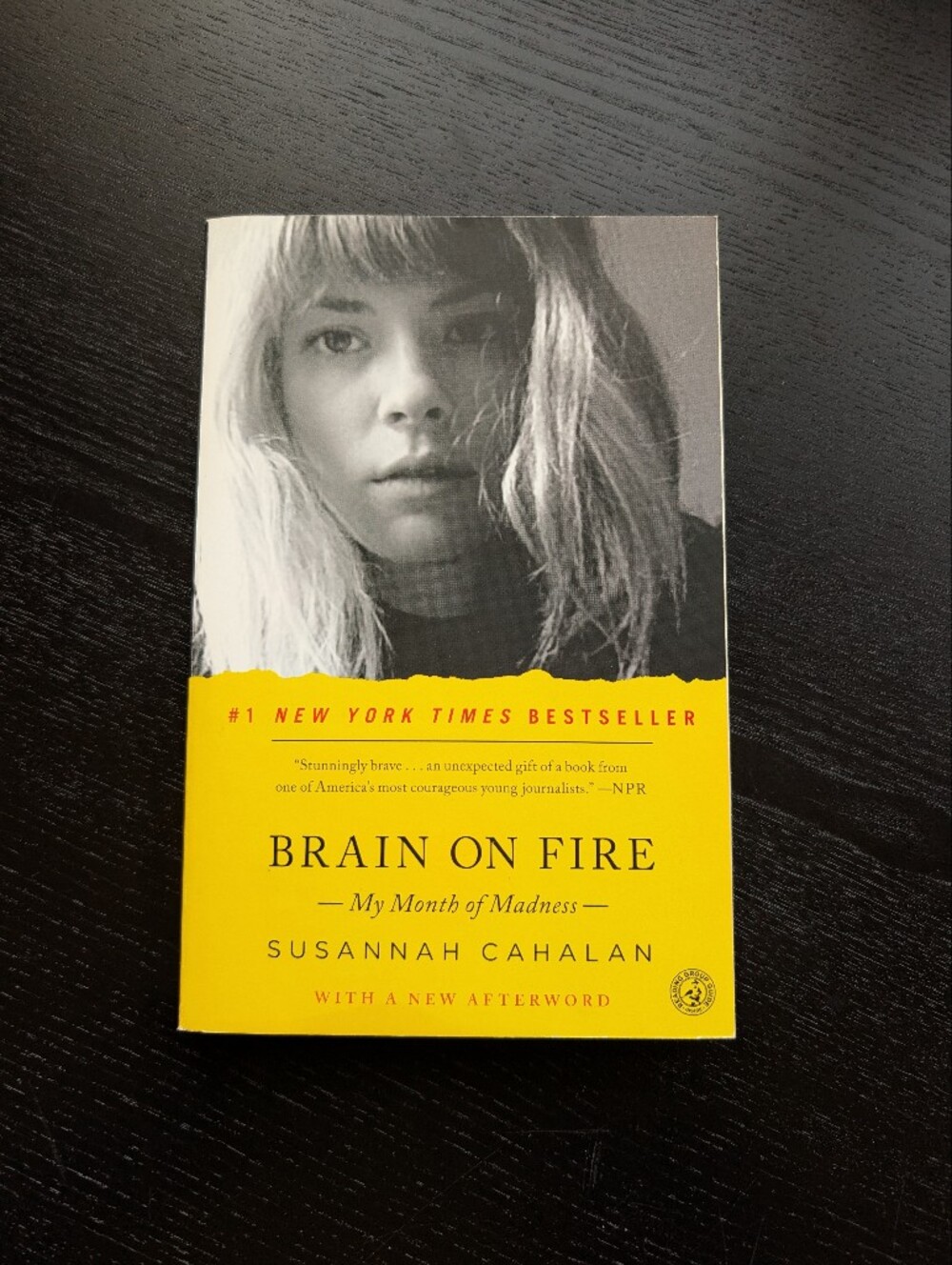 Brain on Fire: My Month Of Madness by Susannah Calahan